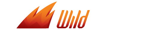 wildslots logo